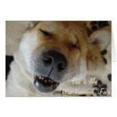 schattige akita slaapt lachende honden grappige li (Voorkant Horizontaal)