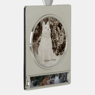 schattige akita zit op sneeuwhondfoto verzilverd banner ornament