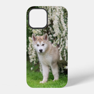 Schattige Alaskan Malamute hond puppy in bloemen f iPhone 12 Hoesje