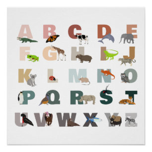 Schattige alfabet ABC Dieren Klaslokaal Kwekerij Perfect Poster