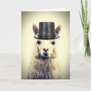 Schattige Alpaca, Birthday Kaart