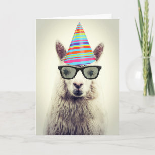 Schattige Alpaca, Birthday Kaart