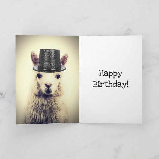 Schattige Alpaca, Birthday Kaart (Binnen)