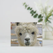 Schattige Alpaca Briefkaart (Staand voorkant)