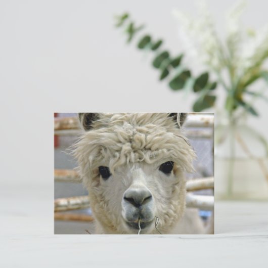 Schattige Alpaca Briefkaart (Staand voorkant)