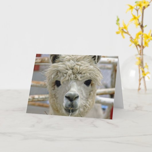 Schattige Alpaca Kaart (Gele Bloem)