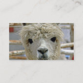 Schattige Alpaca Meadows Visitekaartje (Achterkant)