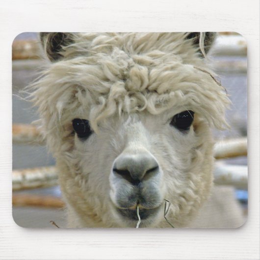 Schattige Alpaca Muismat (Voorkant)