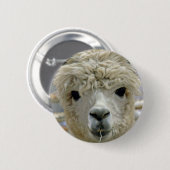 Schattige Alpaca Ronde Button 5,7 Cm (Voorkant /achterkant)