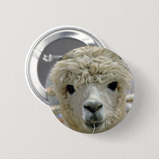 Schattige Alpaca Ronde Button 5,7 Cm (Voorkant /achterkant)