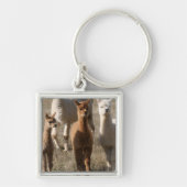 Schattige alpaca sleutelhanger (Voorkant)
