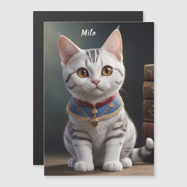 Schattige Amerikaans Korthaar Kitten met grote oge (Voorkant / Achterkant)