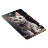 Schattige Amerikaans Korthaar Kitten met grote oge Magneet (Rechterzijde)
