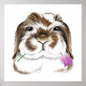 Schattige Amerikaanse Fuzzy Lop Rabbit met roze Tu Poster (Voorkant)