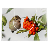 Schattige Anna's Hummingbird op Berry Struik Groot Cadeauzakje (Voorkant)