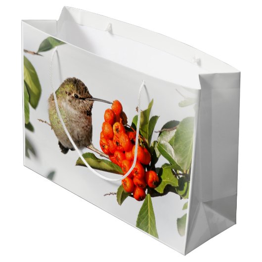 Schattige Anna's Hummingbird op Berry Struik Groot Cadeauzakje (Achterkant Gekanteld)