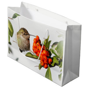 Schattige Anna's Hummingbird op Berry Struik Groot Cadeauzakje