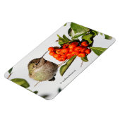 Schattige Anna's Hummingbird op Berry Struik Magneet (Linkerzijde)