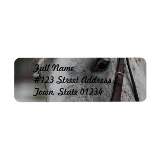 Schattige Appaloosa Paard Mailing Label