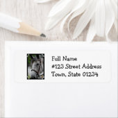 Schattige Appaloosa Paard Retouradres Mailing Labe Etiket (Insitu)