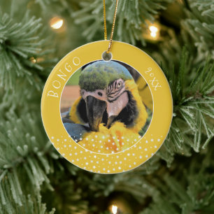 Schattige Ara Huisdier Papegaai Foto Ster Geel Ker Keramisch Ornament