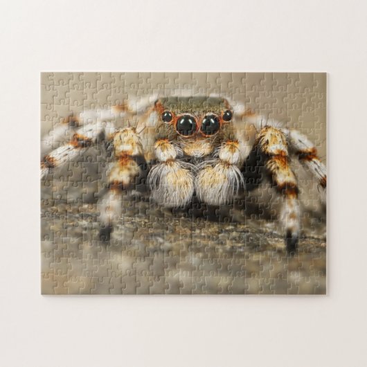 Schattige Arachnid Jumping Spider Foto Puzzle Legpuzzel (Horizontaal)