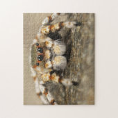 Schattige Arachnid Jumping Spider Foto Puzzle Legpuzzel (Verticaal)