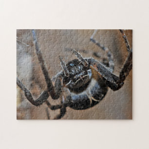 Schattige Arachnid Spider Macro Foto Puzzle Legpuzzel