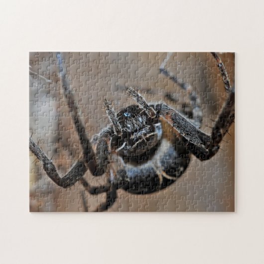 Schattige Arachnid Spider Macro Foto Puzzle Legpuzzel (Horizontaal)