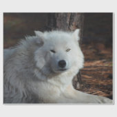 Schattige Arctische Wolf Cadeaupapier (Vlak)