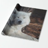Schattige Arctische Wolf Cadeaupapier (Uitgerold)
