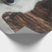 Schattige Arctische Wolf Cadeaupapier (Hoek)