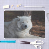 Schattige Arctische Wolf Tissuepapier (Craft)