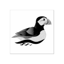 Schattige Atlantische Puffin Swimming Cartoon