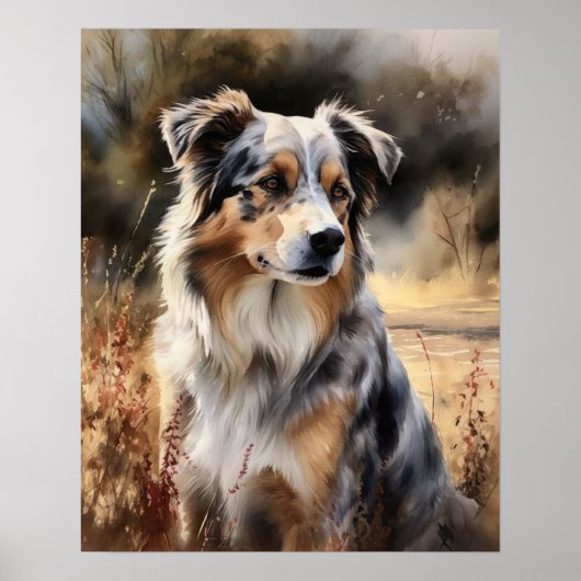 Schattige Australian Shepherd Dog Art Print Poster (Voorkant)
