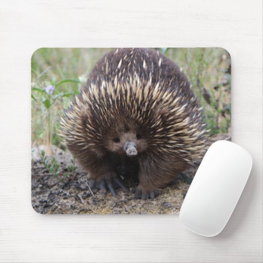 Schattige Australische Echidna Muismat (Met muis)