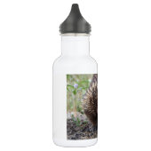 Schattige Australische Echidna Waterfles (Links)