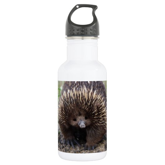 Schattige Australische Echidna Waterfles (Voorkant)