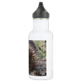 Schattige Australische Echidna Waterfles (Rechts)