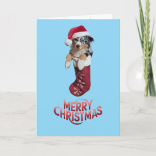 Schattige Australische Herdershond Kerst Kaart