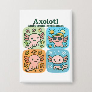 Schattige Axolotl Seasons Collectie – Seizoenen Button