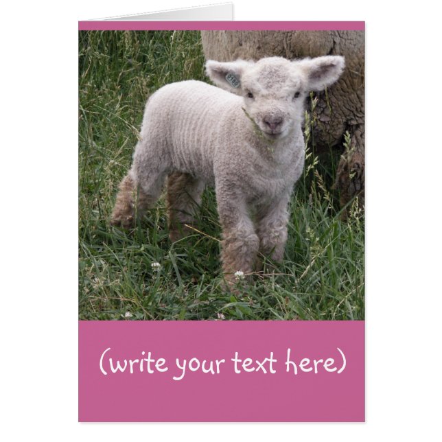 Schattige Baby (Voorkant)