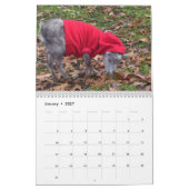 Schattige Baby agenda Kalender (Jan 2027)
