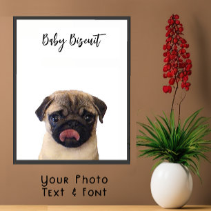 Schattige Baby Biscuit Pug Portrait Poster