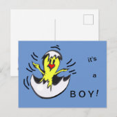 Schattige Baby Boy Chick Cartoon Briefkaart (Voorkant / Achterkant)