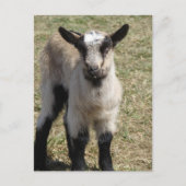 Schattige Baby Briefkaart (Voorkant)