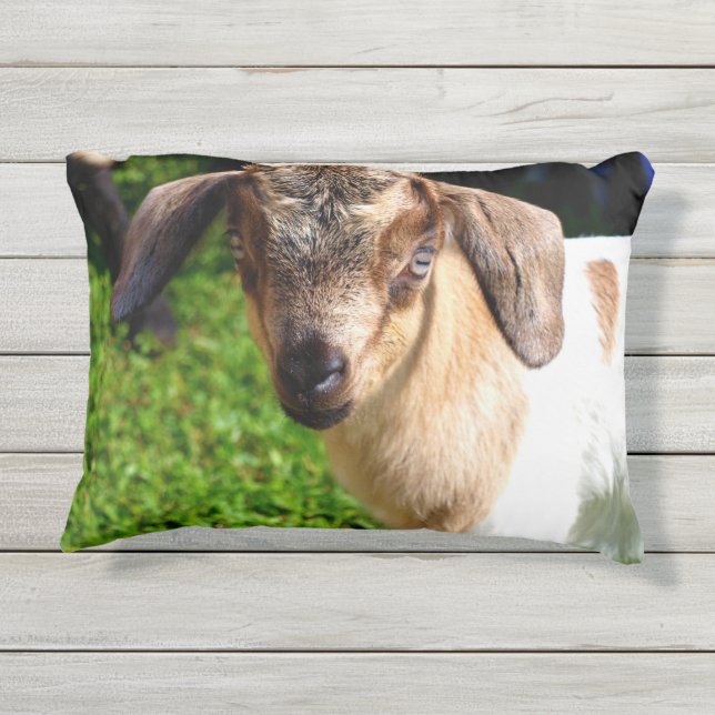 Schattige Baby Buitenkussen (Achterkant)