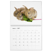 Schattige Baby Bunnies Kalender (Mar 2027)