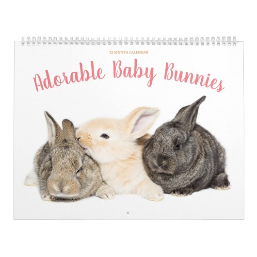 Schattige Baby Bunnies Kalender (Hoes)