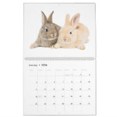 Schattige Baby Bunnies Kalender (Jan 2026)